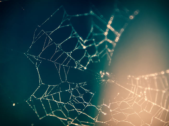 Web